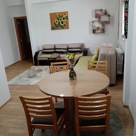 Apartment Vik *