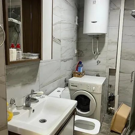 Apartment Vik