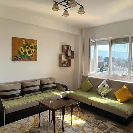 Apartment Vik *